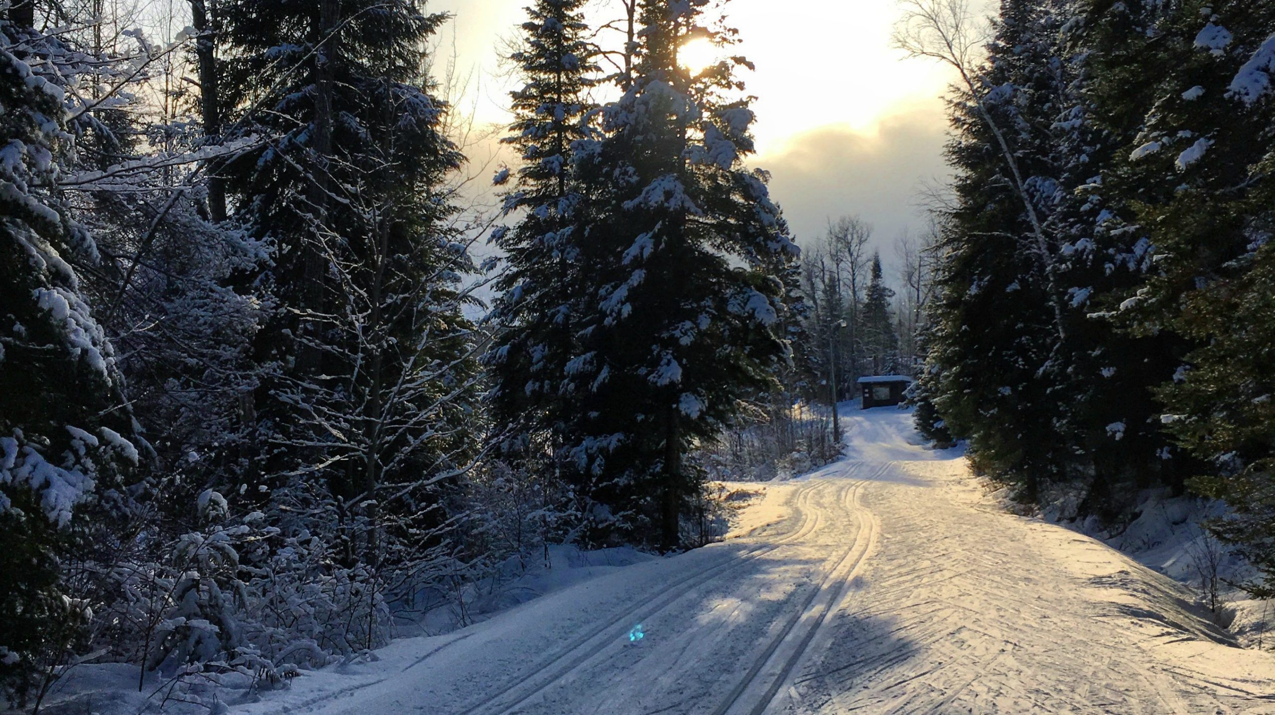  North Bay Nordic Ski Club