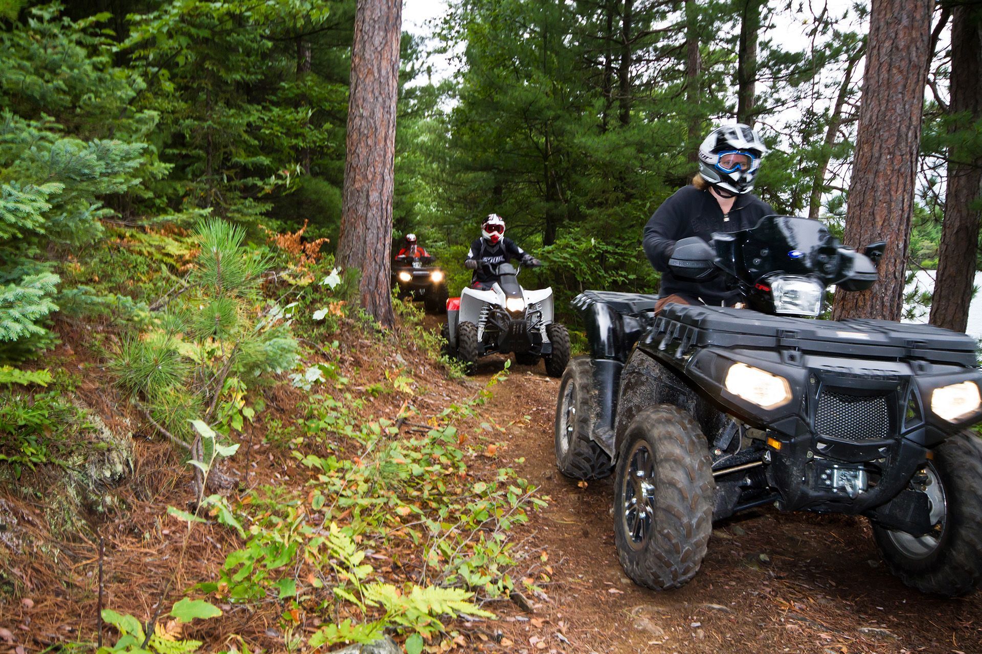 Quatre personnes se suivent en quad sur une piste étroite, à travers une forêt luxuriante.