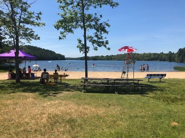 La plage accessible de Clear Lake. Les rives du lac sont de forêt!
