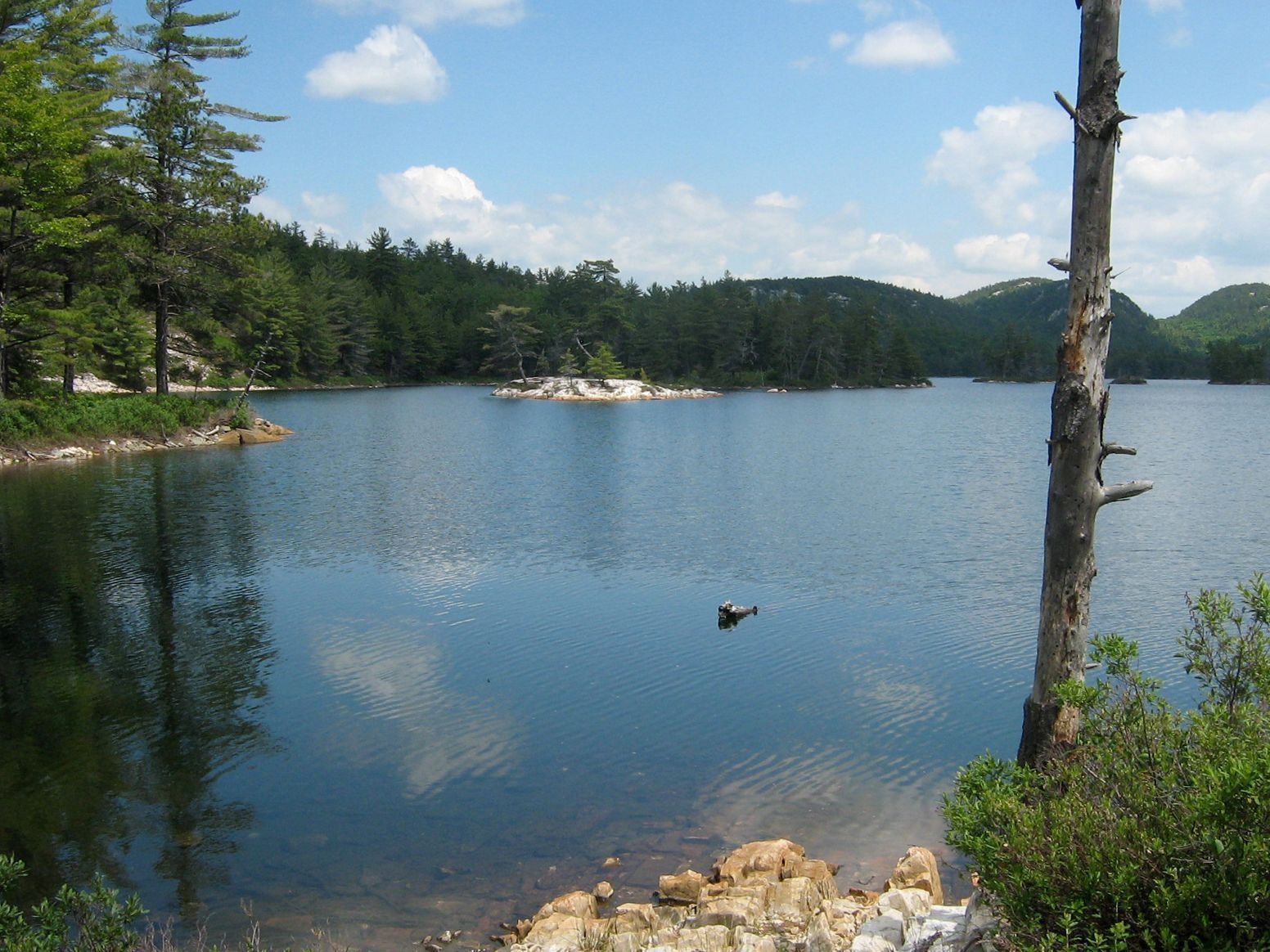 Un lac calme à Espanola. Le ciel est bleu, avec quelques nuages. Une forêt de conifères entoure le lac.