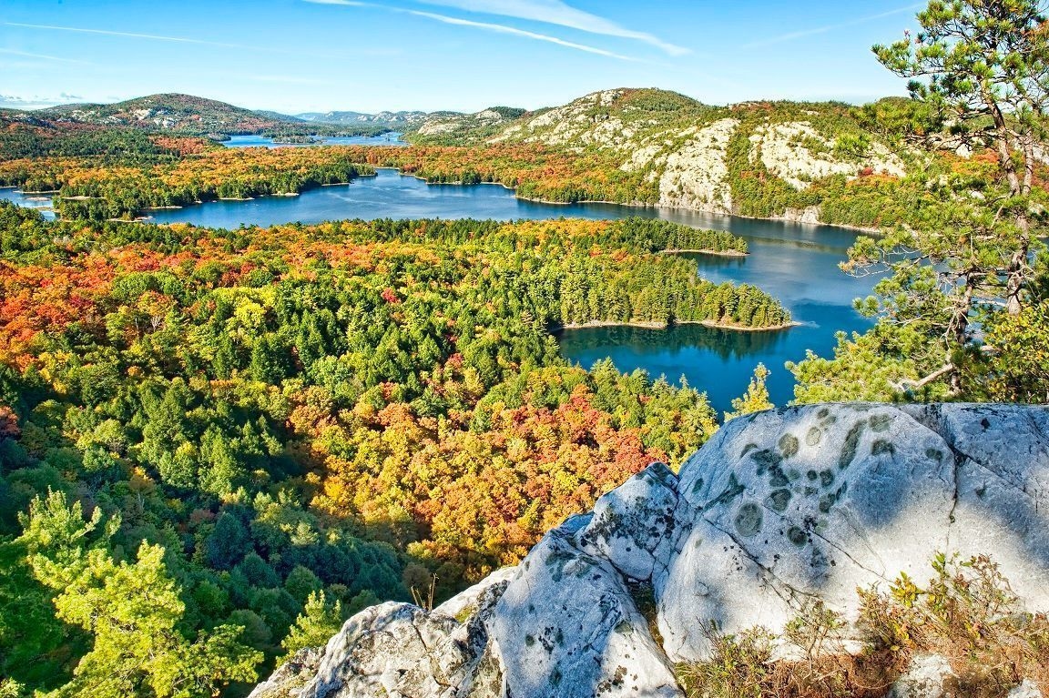 Une vue automnale colorée à Killarney.