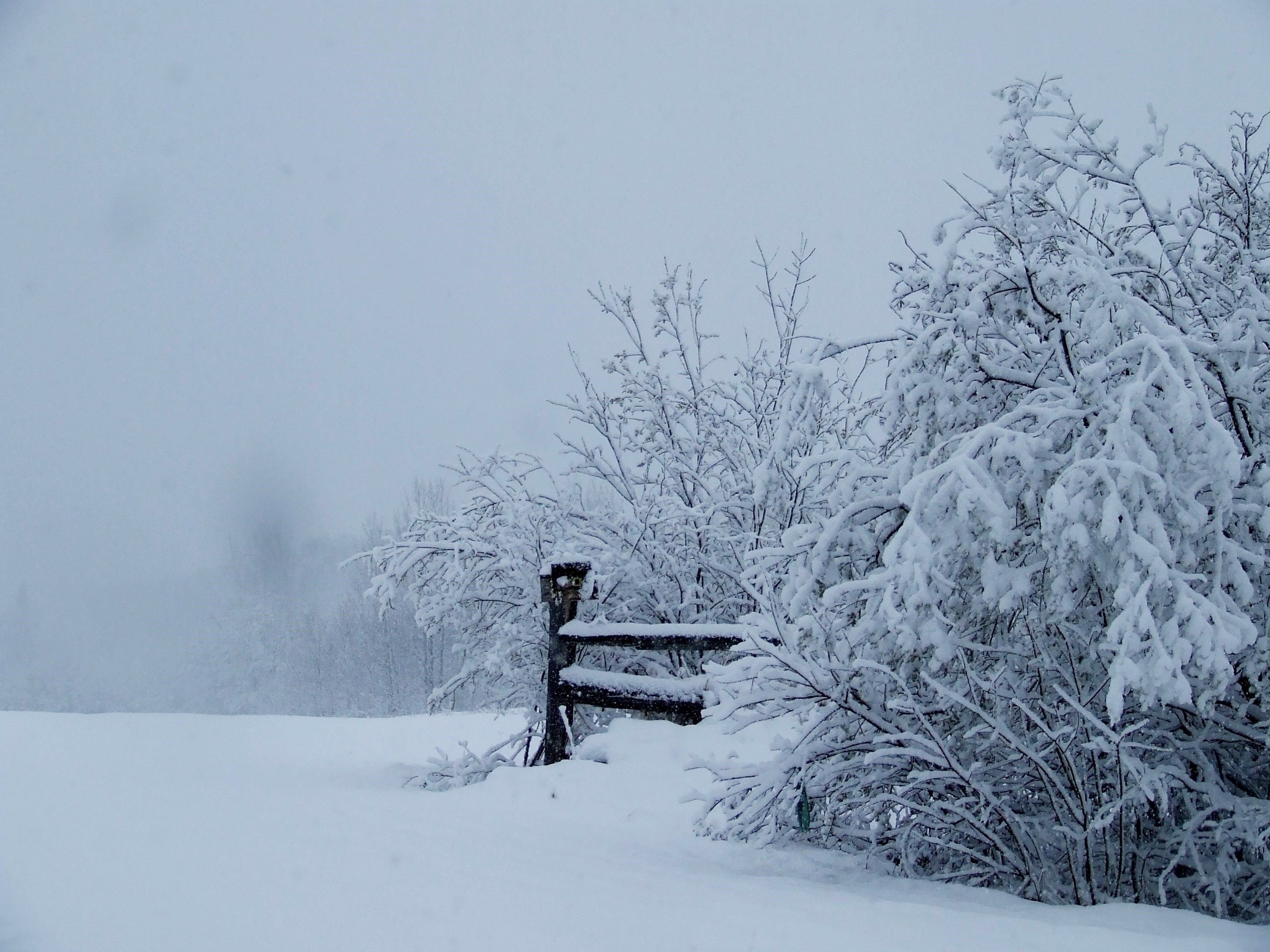 L'hiver bien enneigé à Black River Matheson