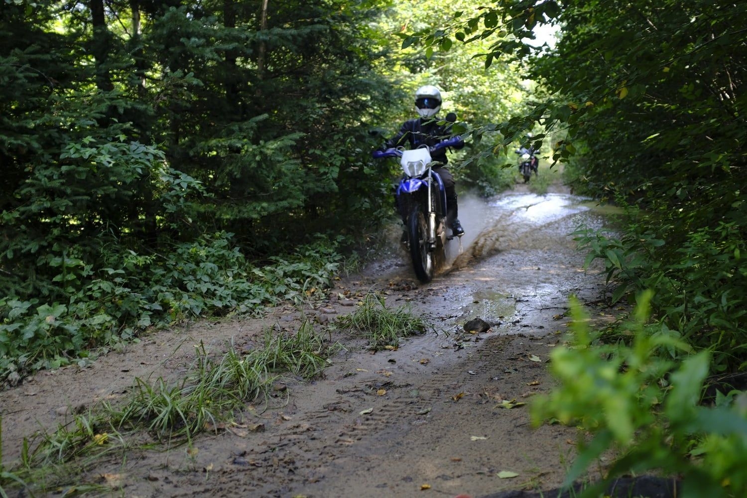 Une moto d'aventure circule sur un sentier boueux, en pleine forêt.