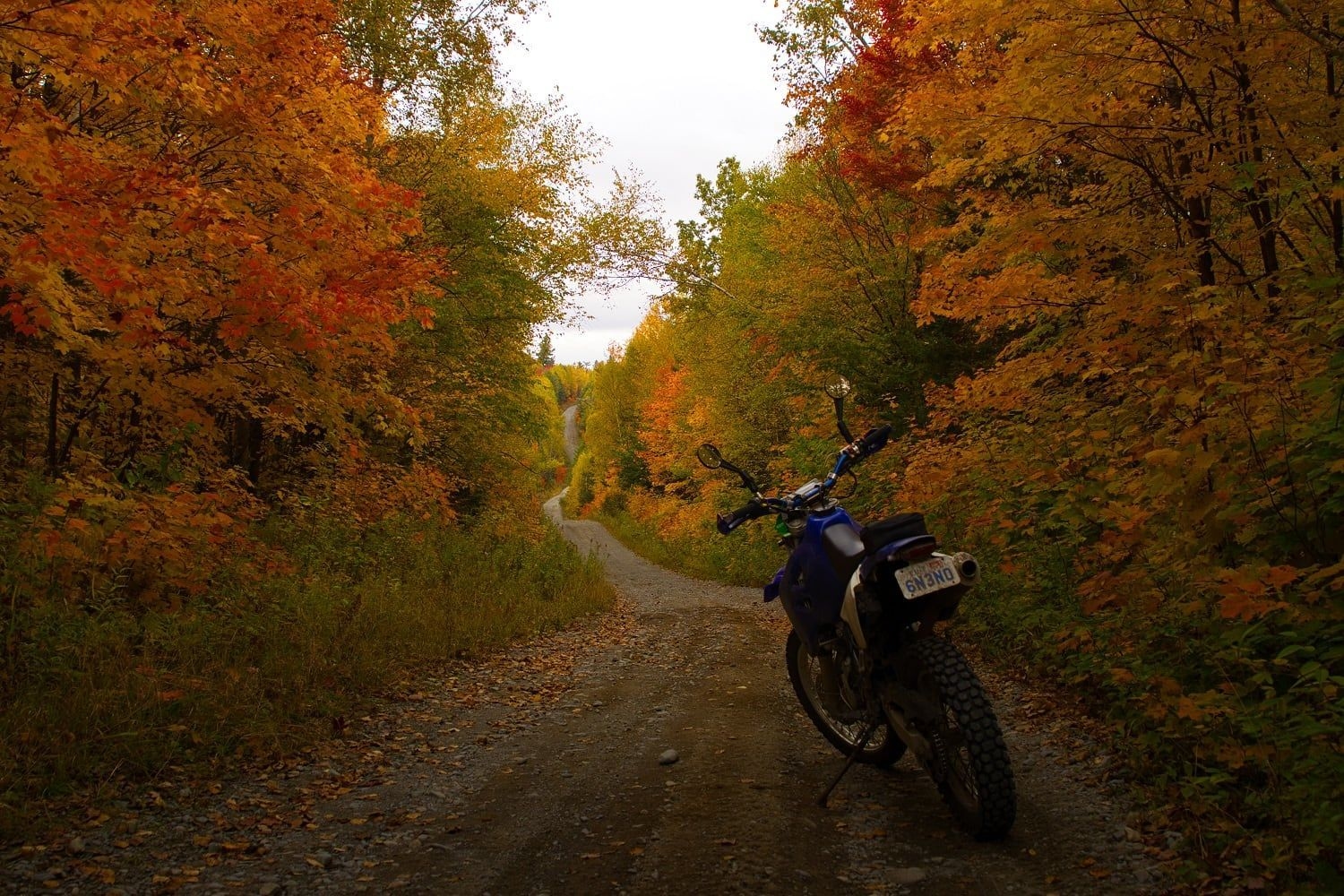 Une moto d'aventure dans une route de gravier très étroite, l'automne. C'est beau!