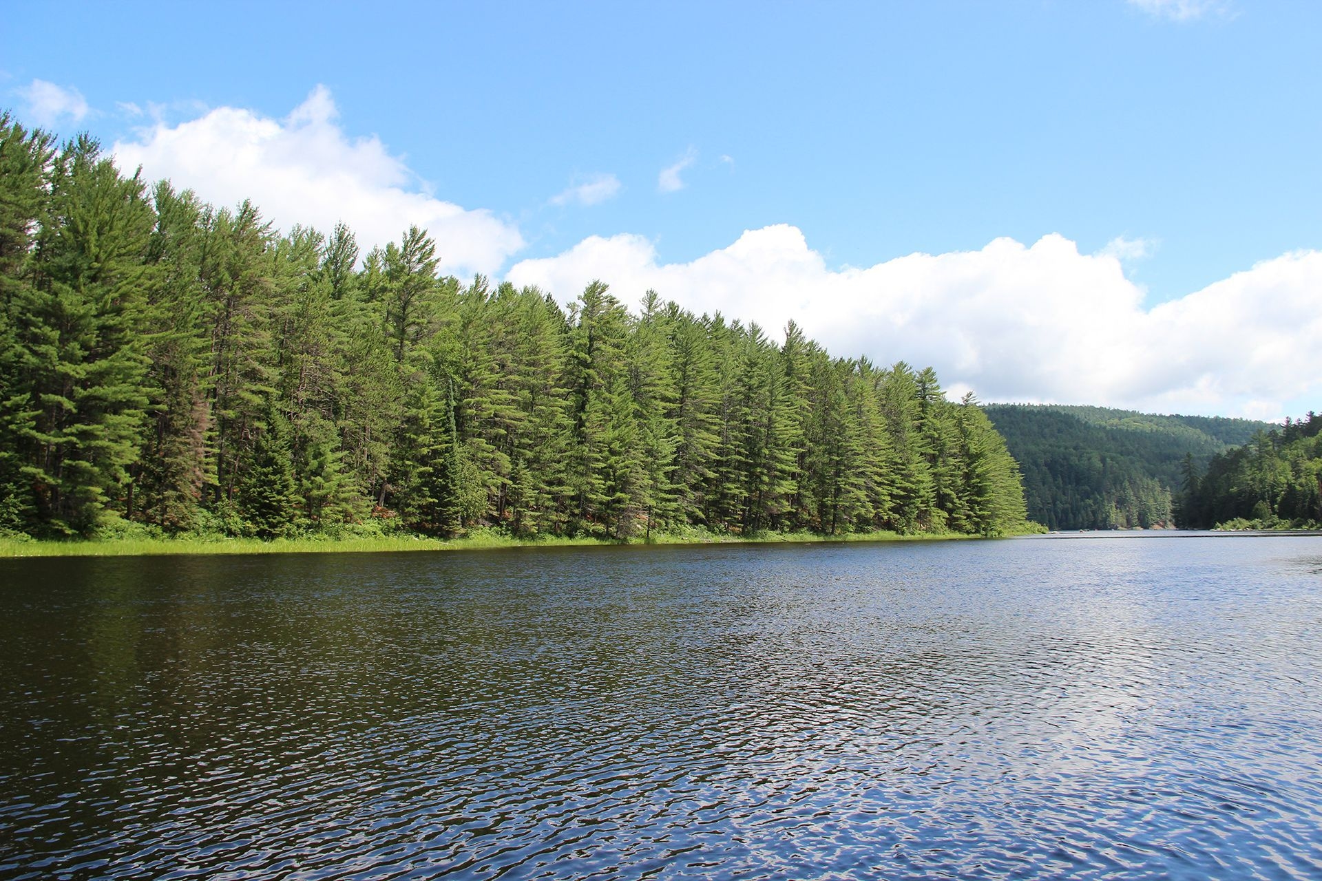 La rivière des Outaouais, avec une rive bordée d'arbres. 