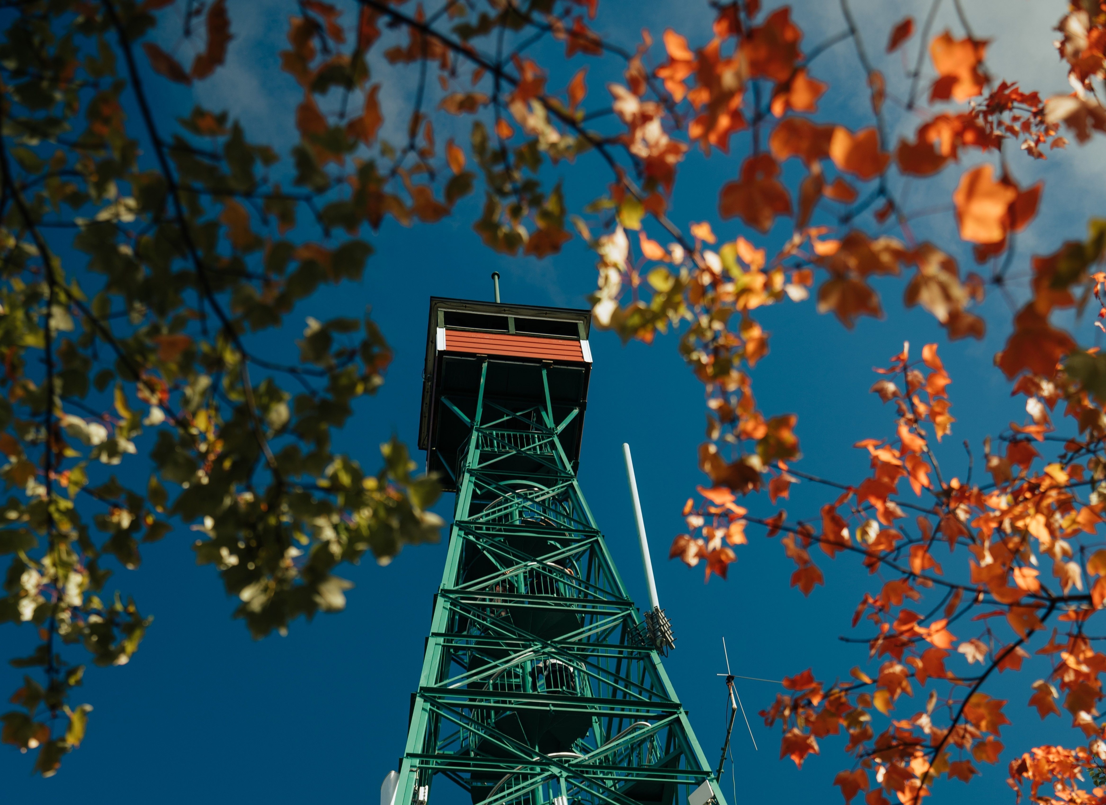 En levant les yeux, au pied de la tour de guet de Temagami, on aperçoit la plateforme et des feuillages d’automne.