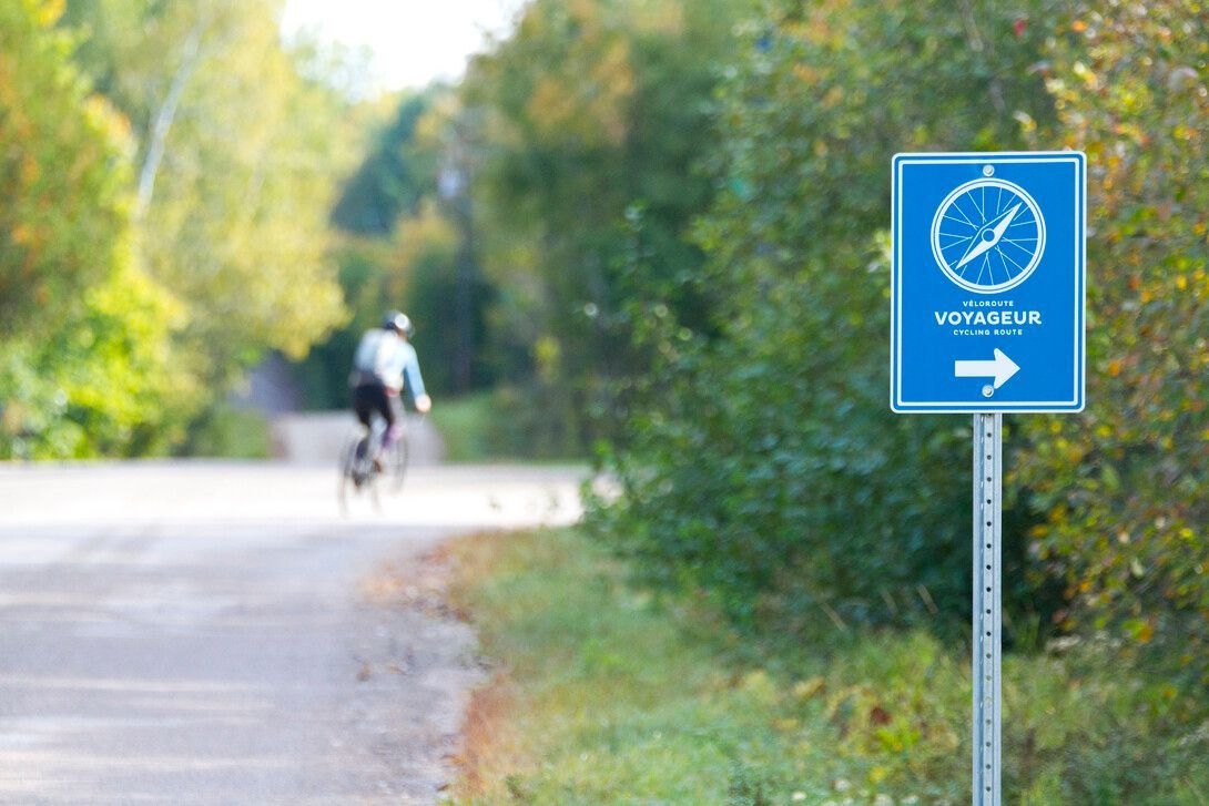 Une route de campagne, bordée d'arbres, avec un panneau de sianglisation bleu de la Véloroute Voyageur. Un cycliste suit la route.