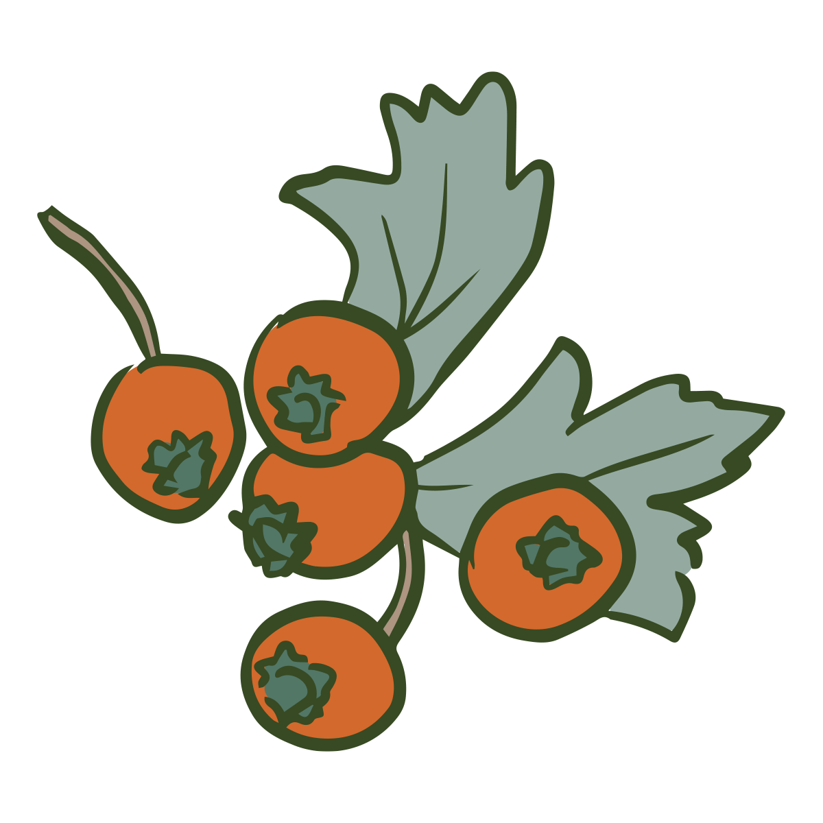 hawberries
